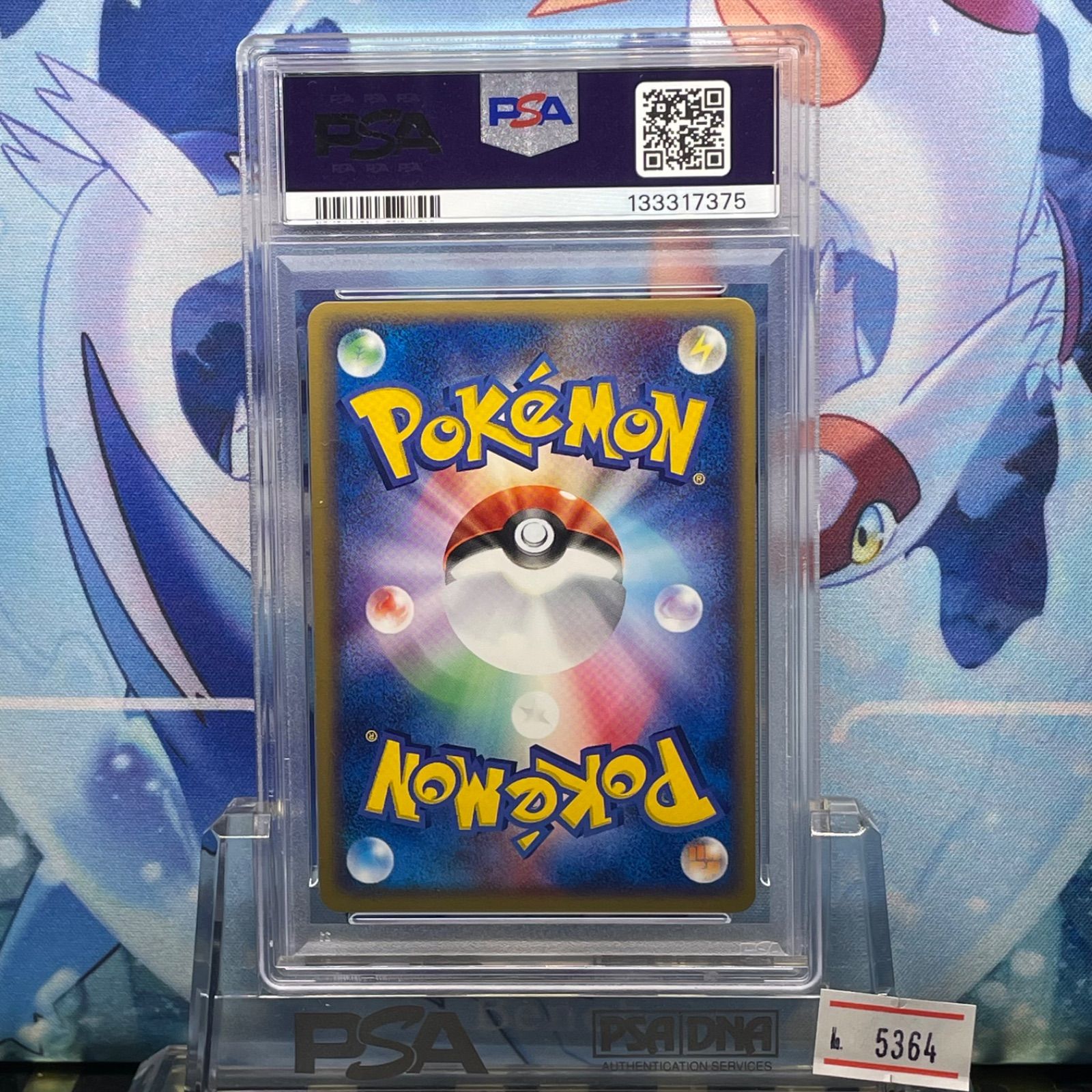 ブラッキー マグマvsアクア ふたつの野望 psa10 1st 1ed ブラッキー