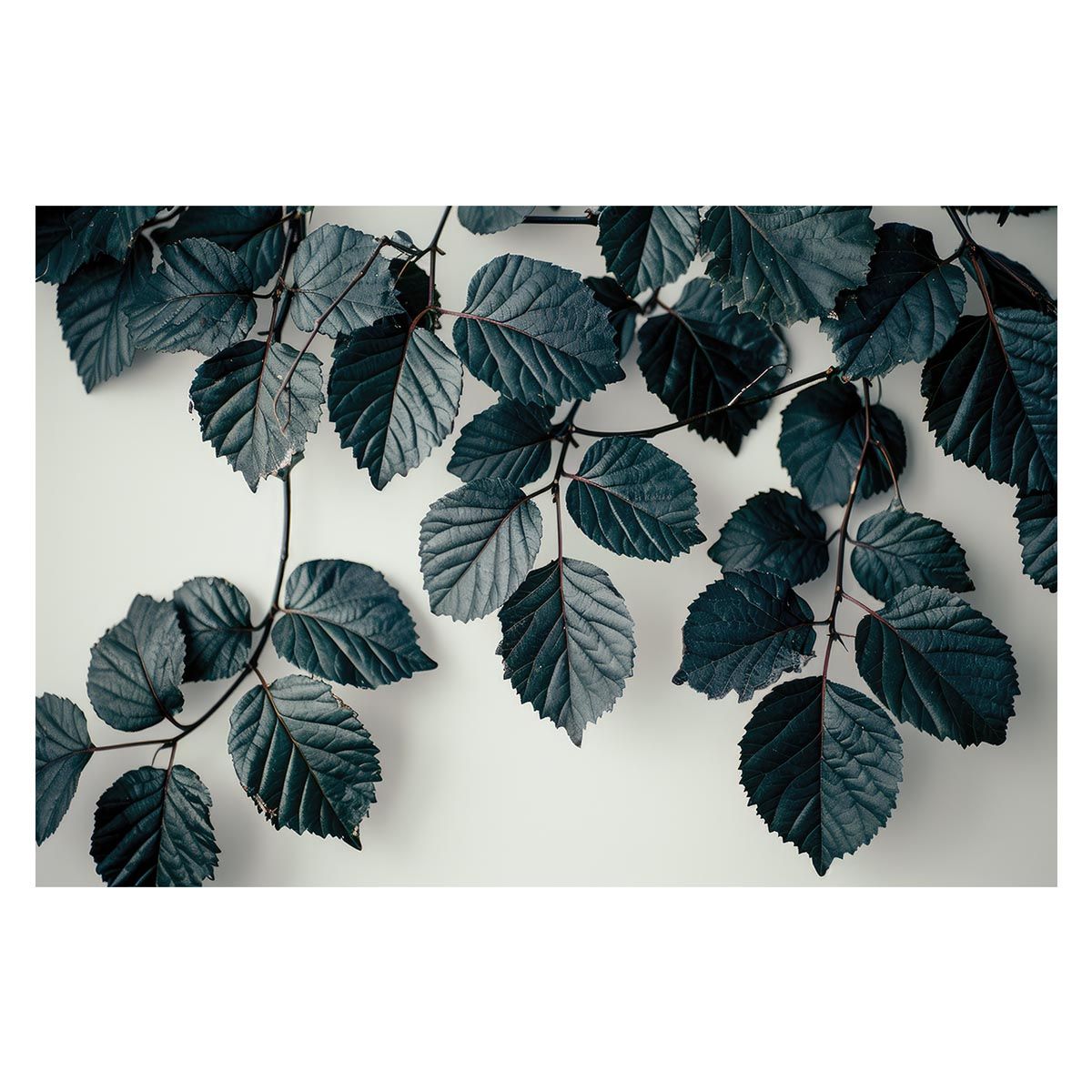 亀田陵瀬 三行書 紙本掛軸 自題共箱