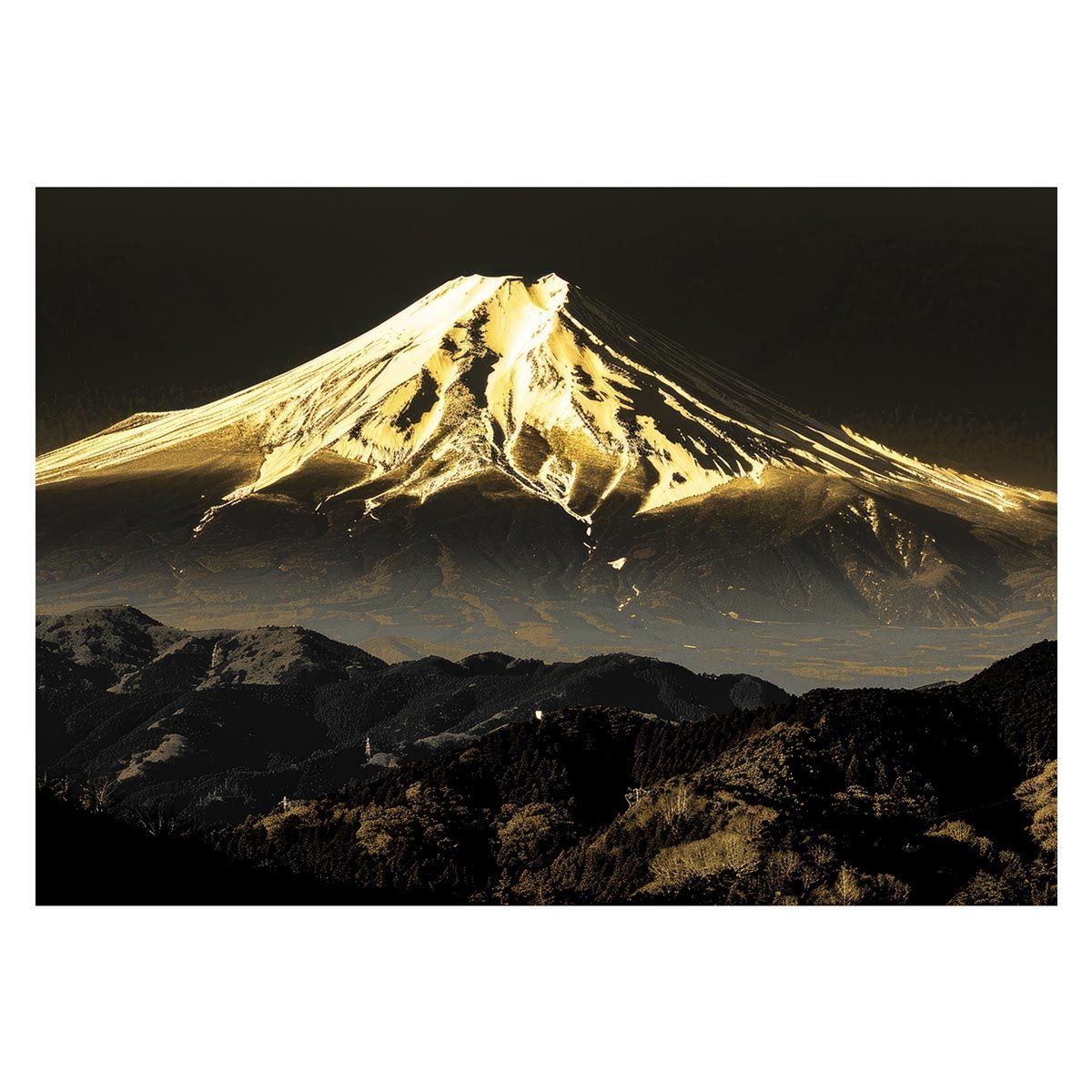 B2サイズ（約51x73cm）】【lh-poster-4070】和風 金の富士 金運