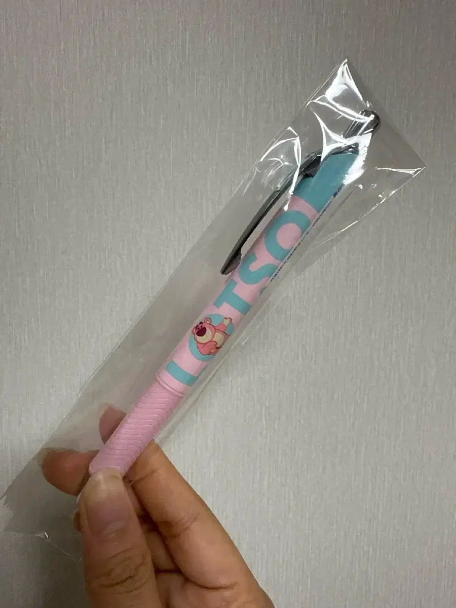 ②うみがめ〚タイマイ〛の剥製 壁掛けフックつき