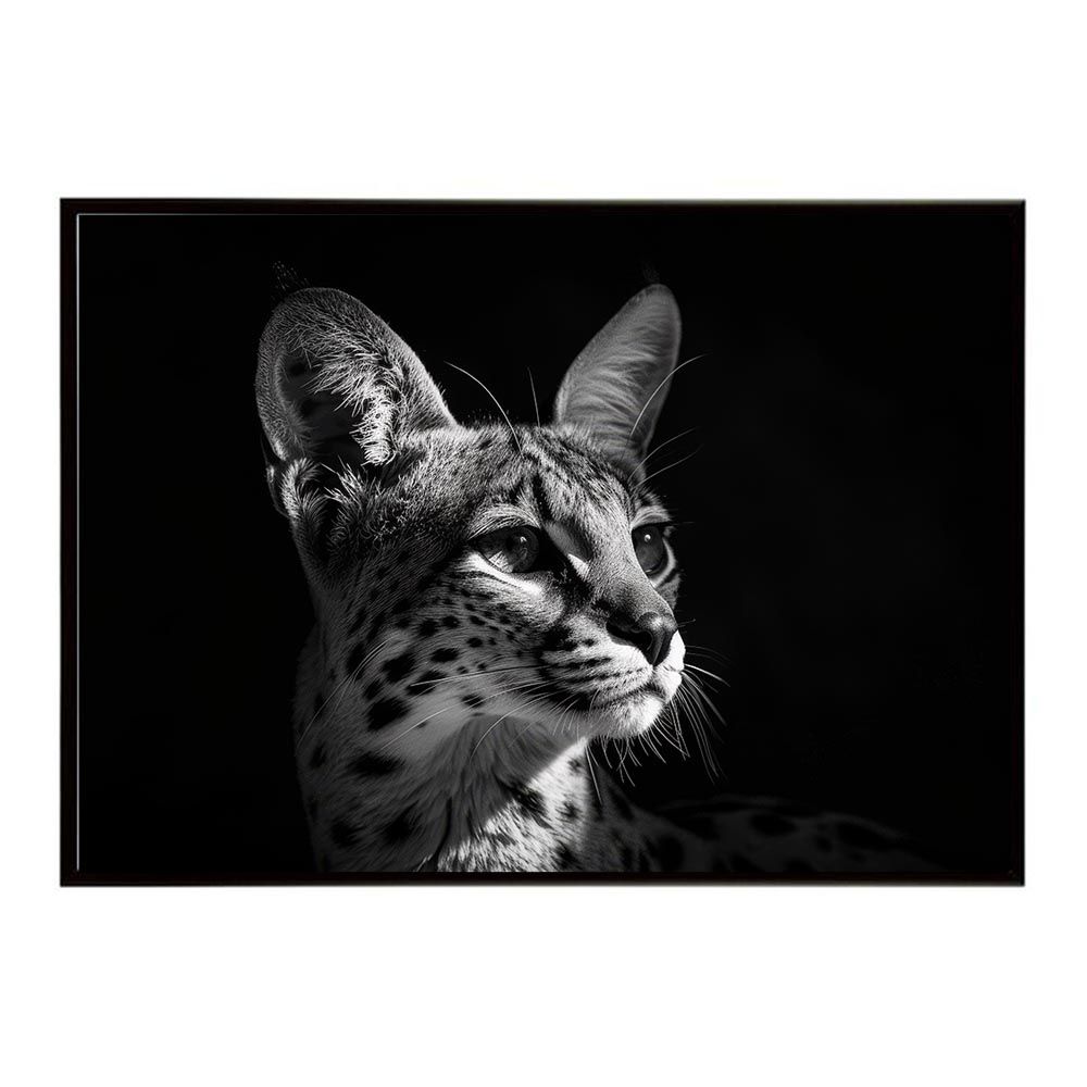 幾田りら（YOASOBI ikura）1st CD お買い得品 「15の想い」 幾田りら