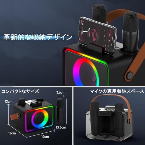 スピーカーセット カラオケ マイク 販売 2本 Bluetooth5.3 カラオケ