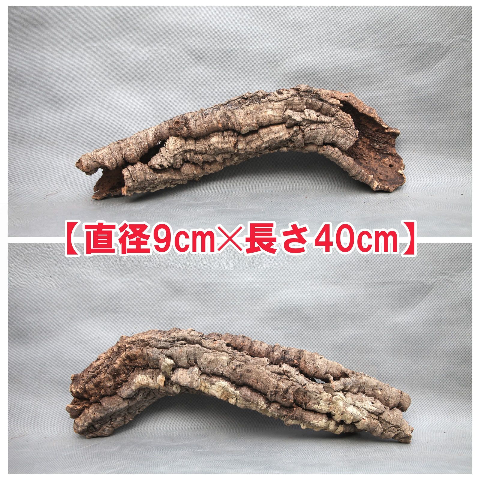 ポルトガル産コルク樹皮PL-102-10LL ポルトガル産コルク樹皮PL-102