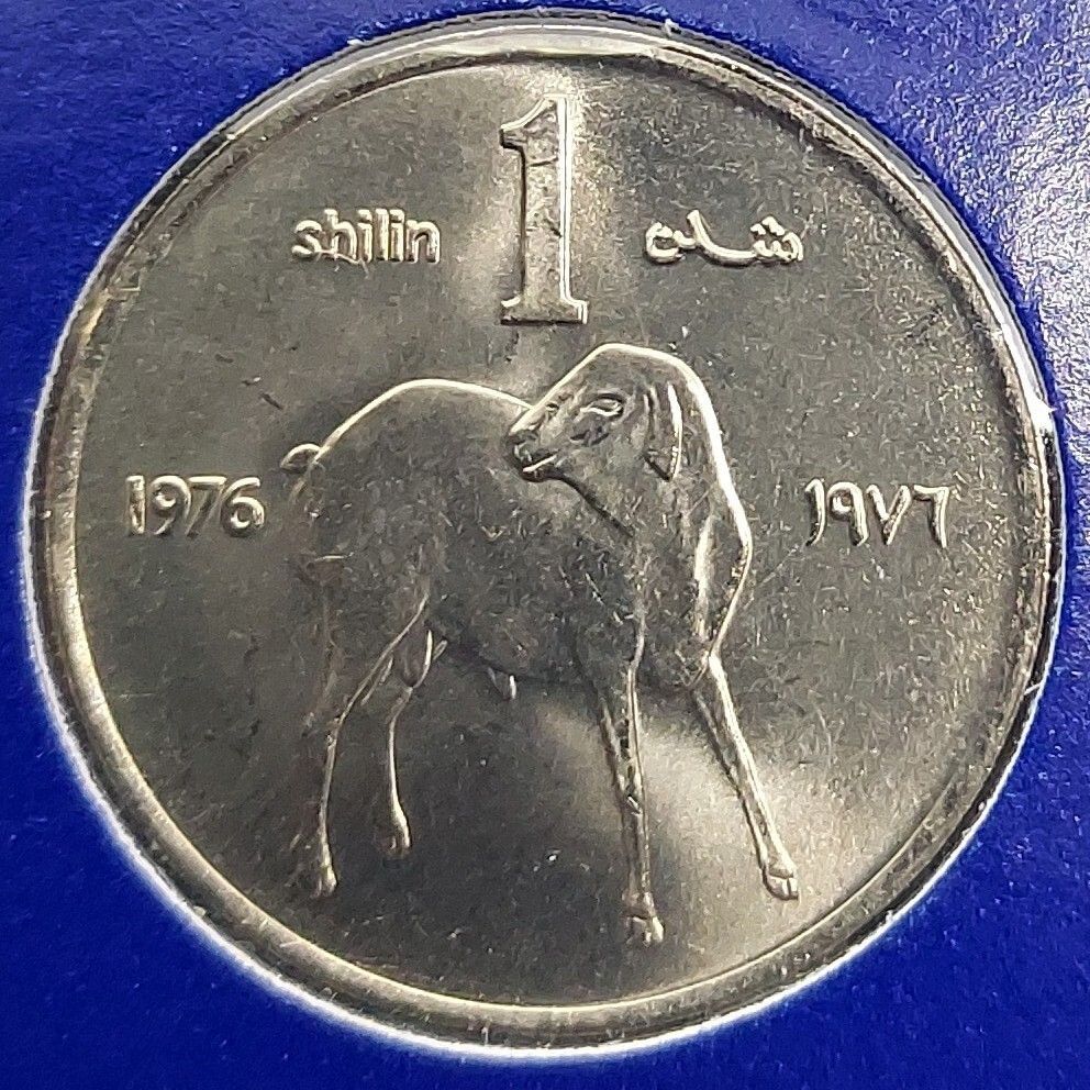 外国硬貨 ソ連 1976年 9種揃い 外国硬貨 ソ連 1976年 9種揃い