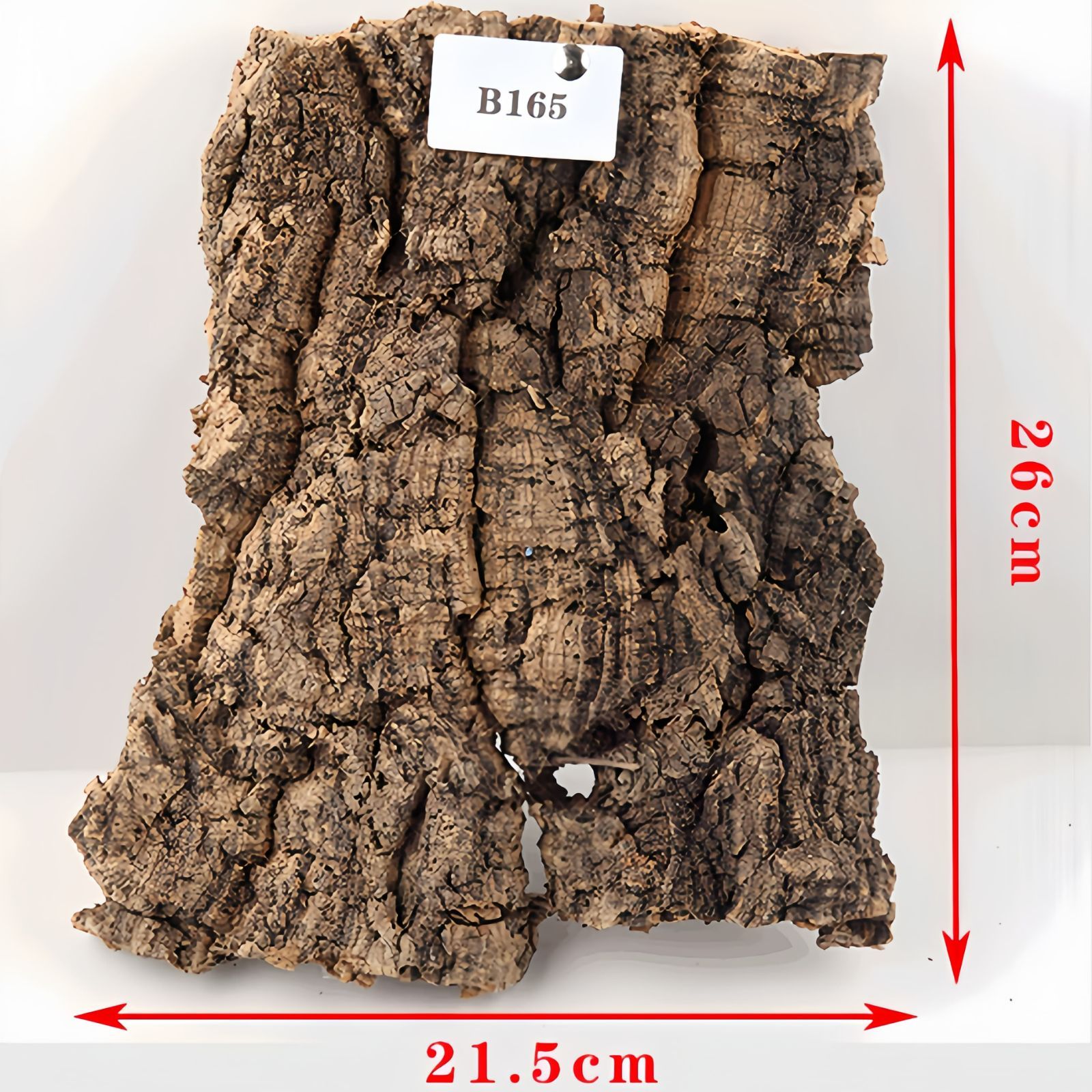 ポルトガル産コルク樹皮PL-102-10LL ポルトガル産コルク樹皮PL-102