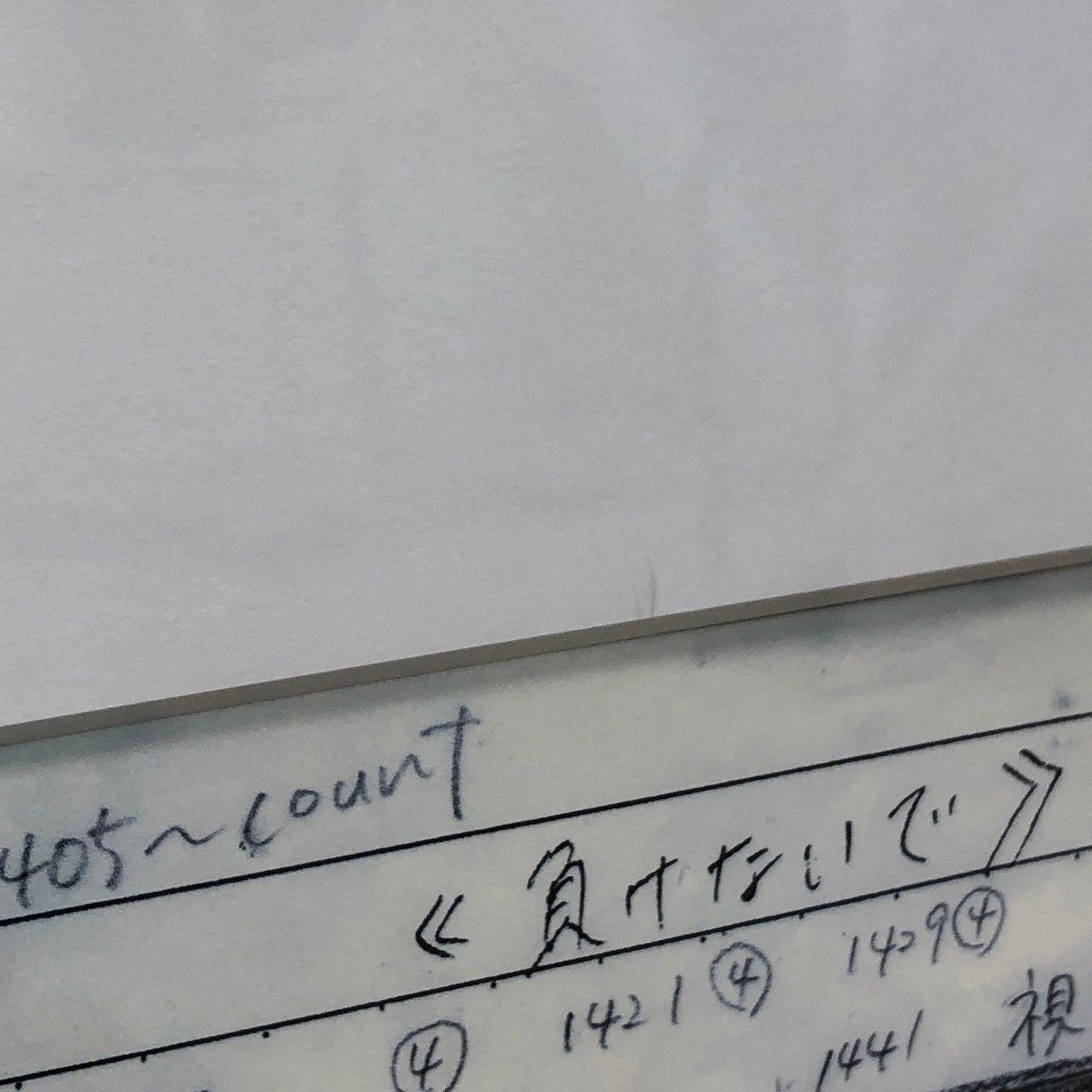 希少】ZARD 負けないで 坂井泉水 直筆歌詞額装 レプリカ シリアル