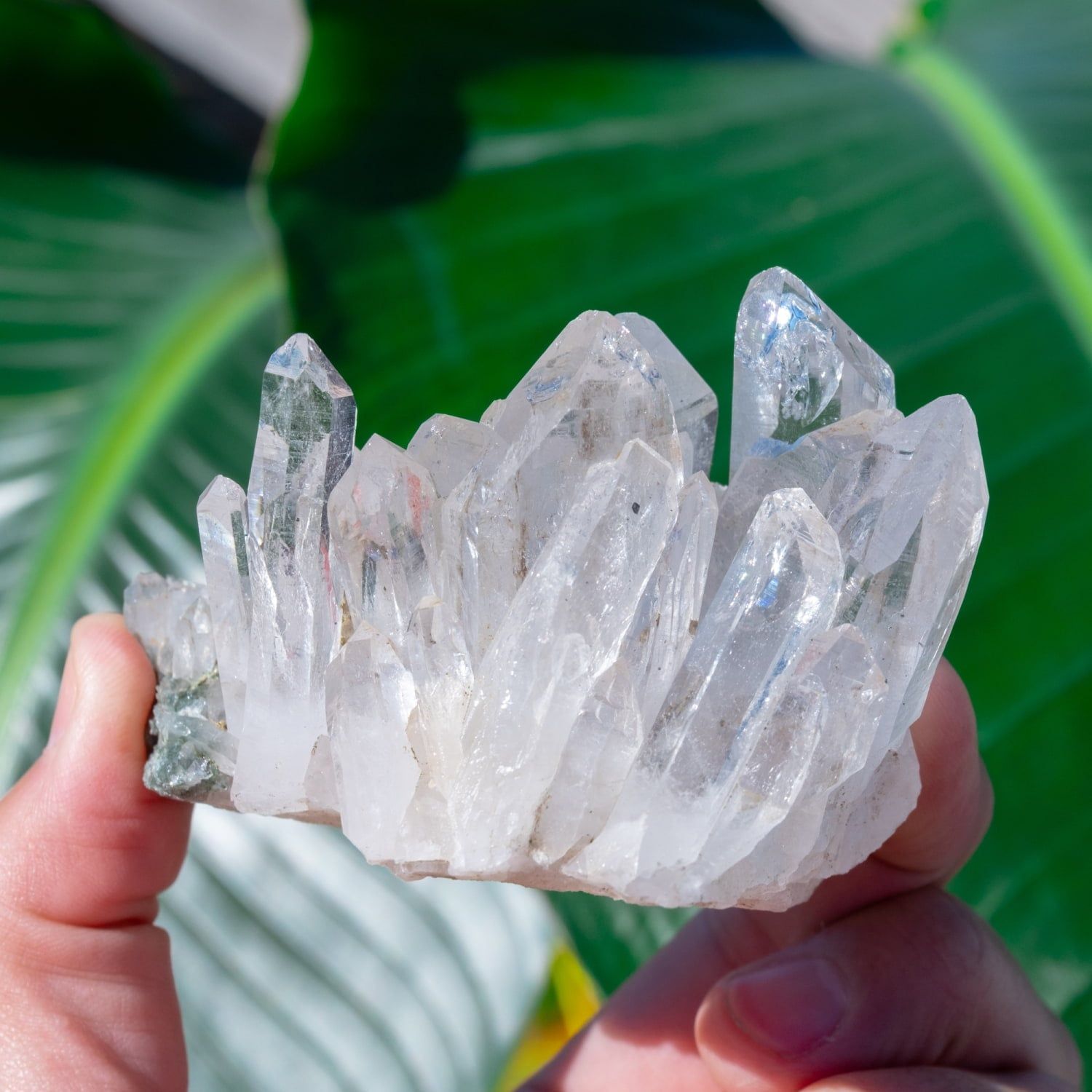 一点物】 ヒマラヤ水晶原石 【208g】クラスター・透明・レシーバー
