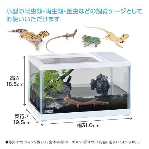 ジェックス EXOTERRA レプテリア ツインビュー 300ホワイト 小型爬虫類