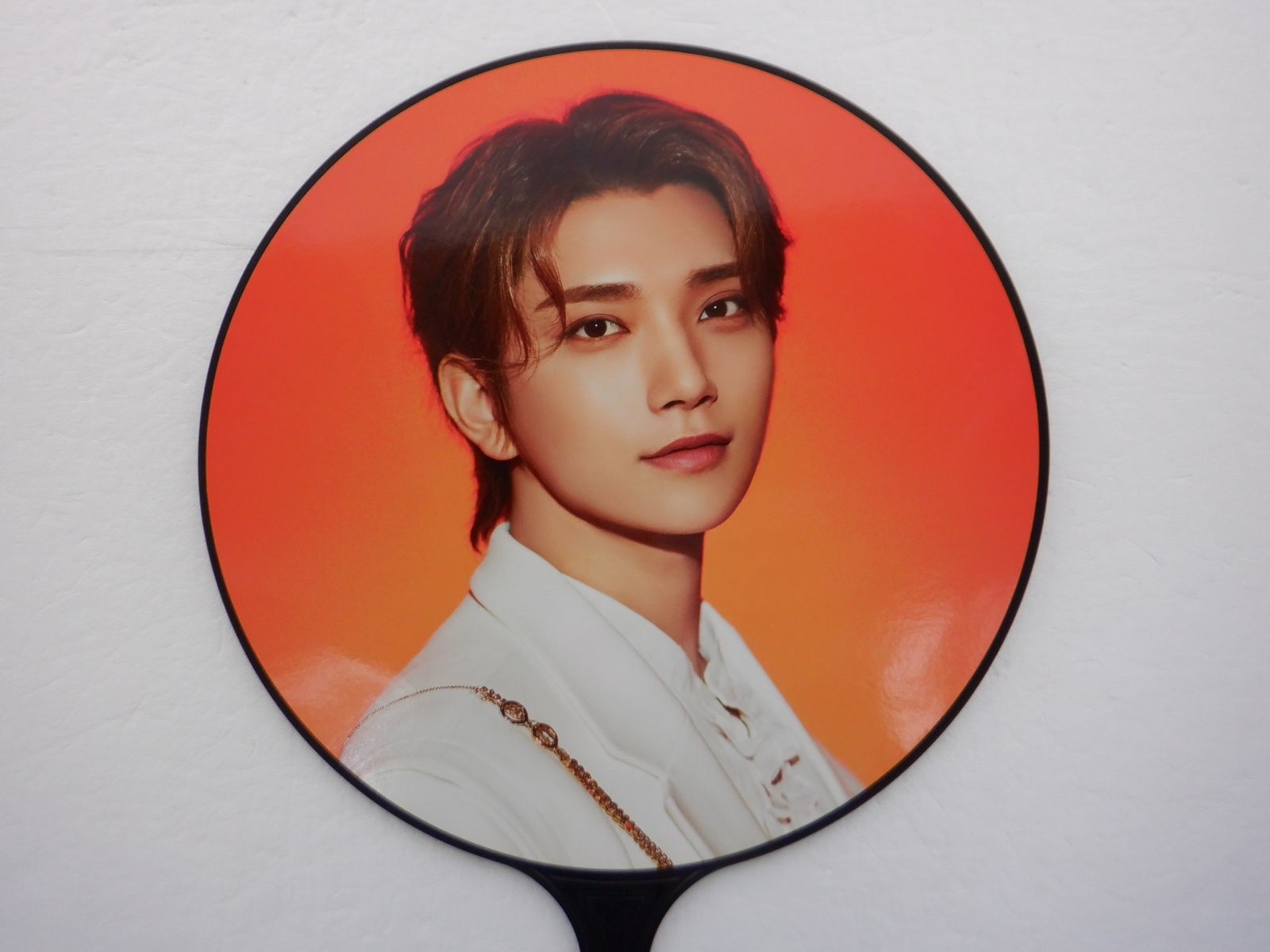 SEVENTEEN JOSHUA うちわ WORLD TOUR BE THE SUN IMAGE PICKET