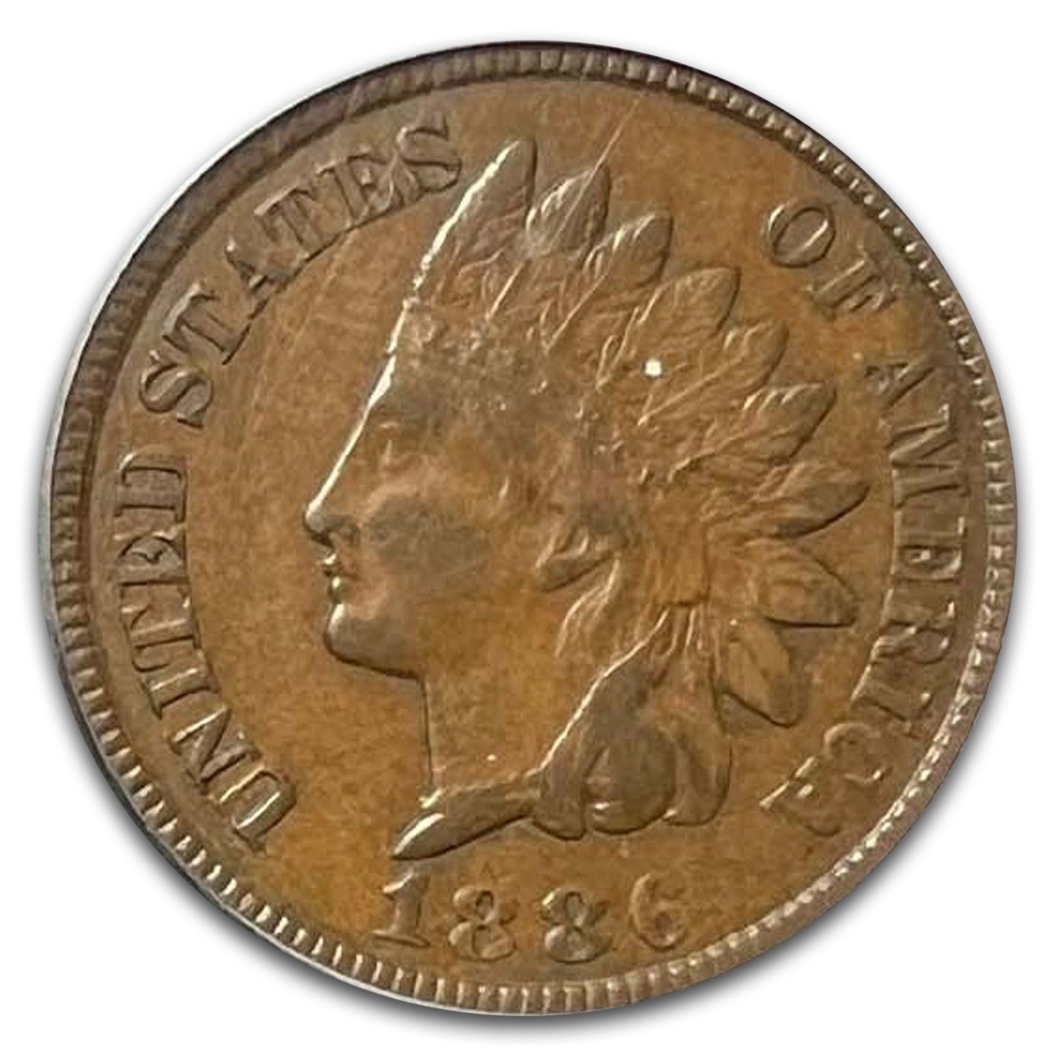 1886年インディアンヘッドセントタイプII XF-40 PCGS（ブラウン