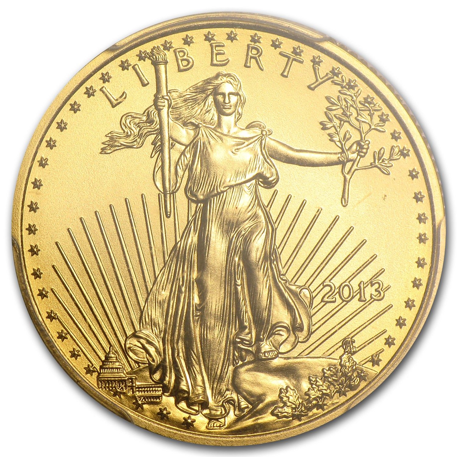 2013年 アメリカンイーグル PCGS MS70 28258567 Certified 2013