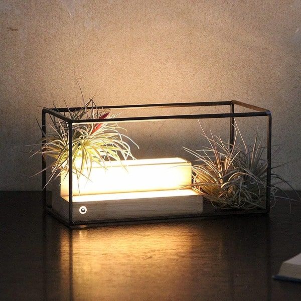 ジョセフアイアン ディスプレイワイヤーフレーム レクタングル Lサイズ