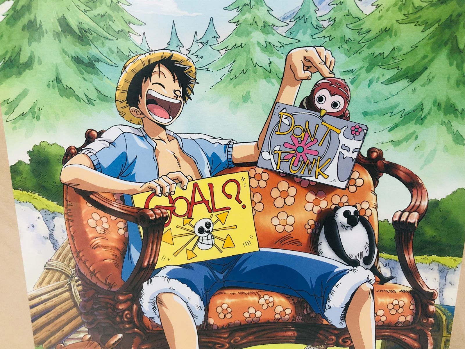 ワンピースルフィバースデーポートレート