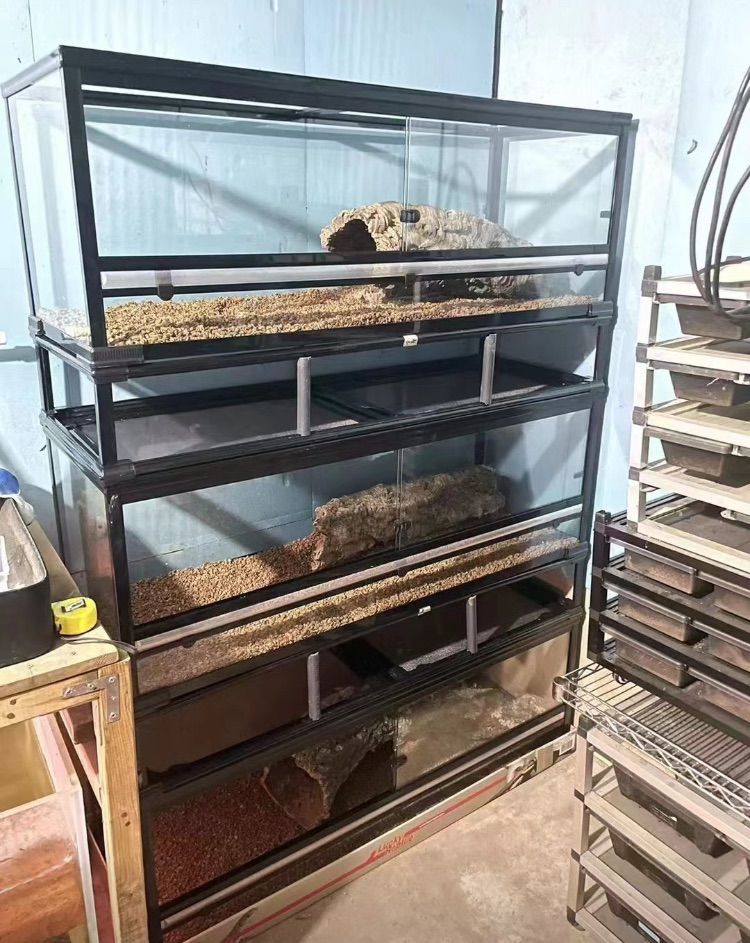自社製組み立て式爬虫類両生類ケージガラス飼育ケージ90x45x45cm引取り