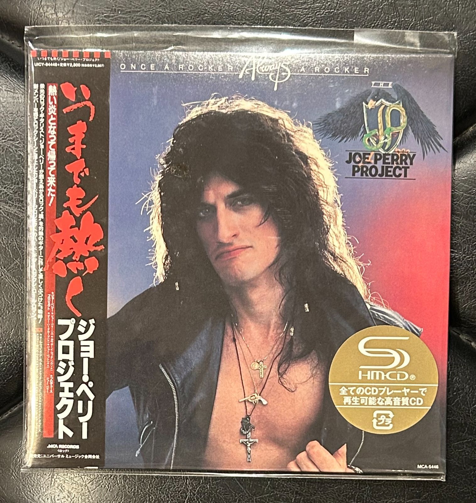 Aerosmith エアロスミス Joe Perry 1994年 ギターピック