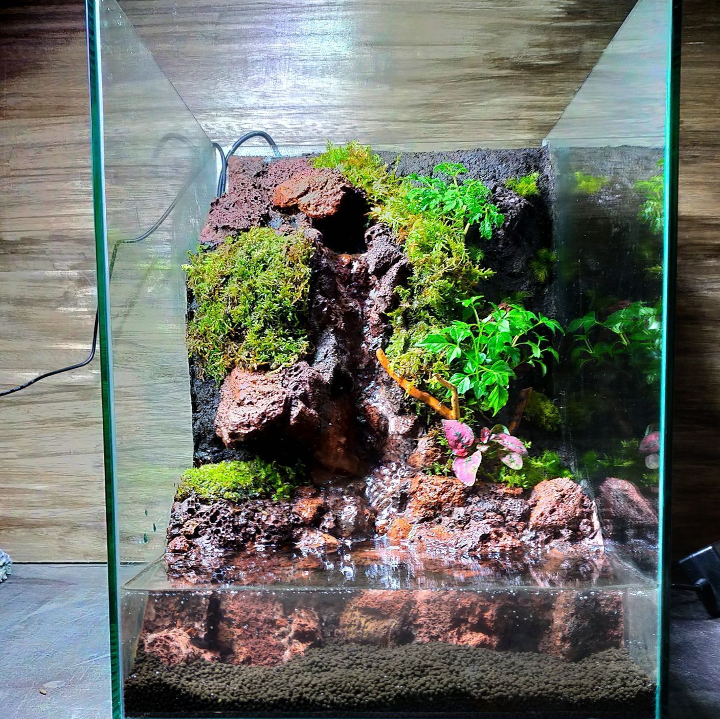 滝の流れるアクアテラリウム No.1144 滝の流れるアクアテラリウム No