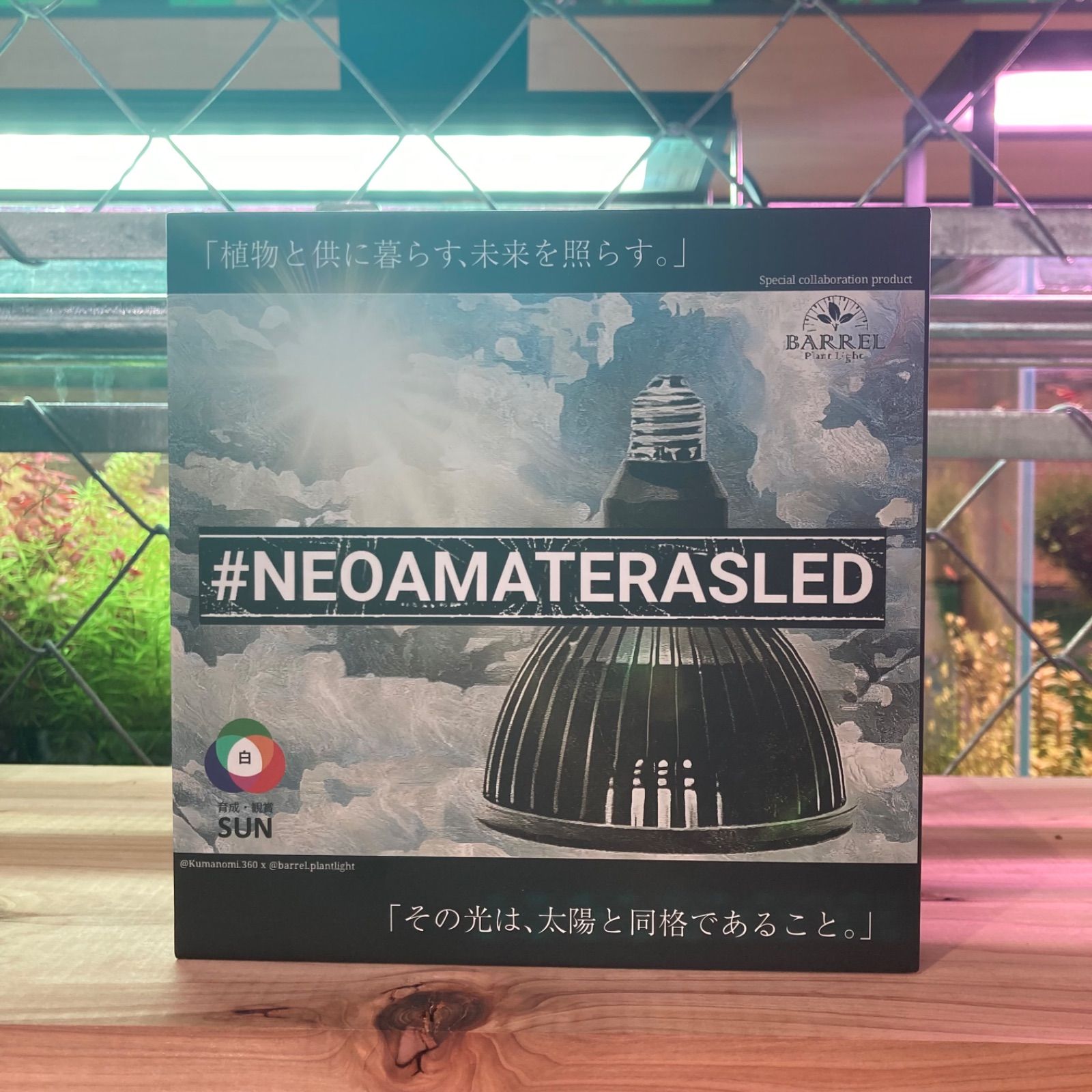 NEOAMATERAS（アマテラス）LED 20w【正規品】 アウトレット NEO