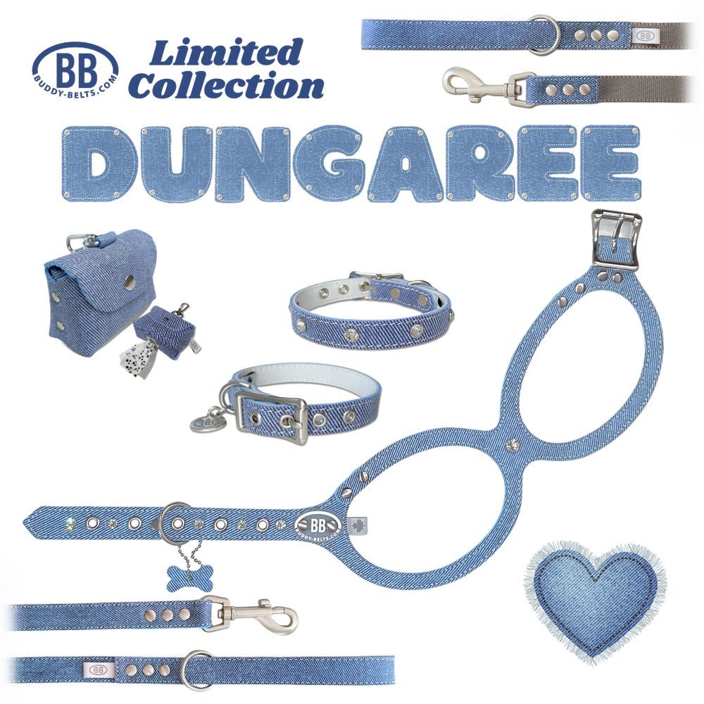 バディーベルト ハーネス 5号 ロビンズエッグブルー スワロフスキー