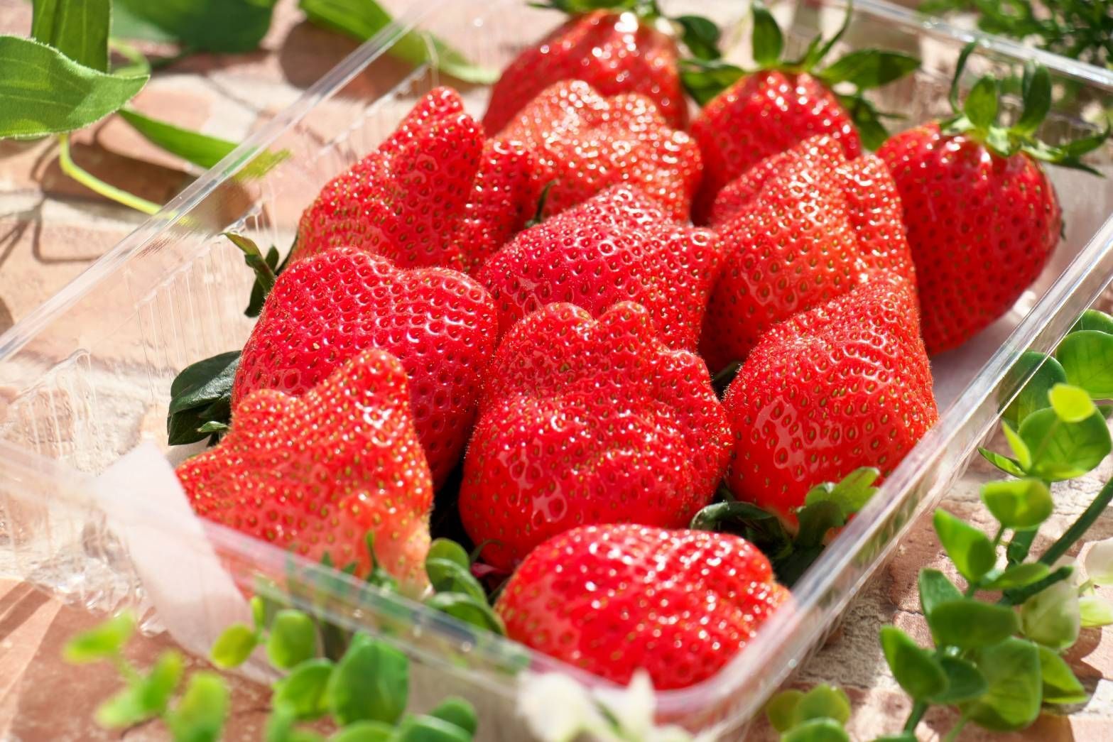 中国古美術 明代 盧稜伽作款 水墨画 風景人物 三尺 宣紙 掛け軸 唐物 肉筆