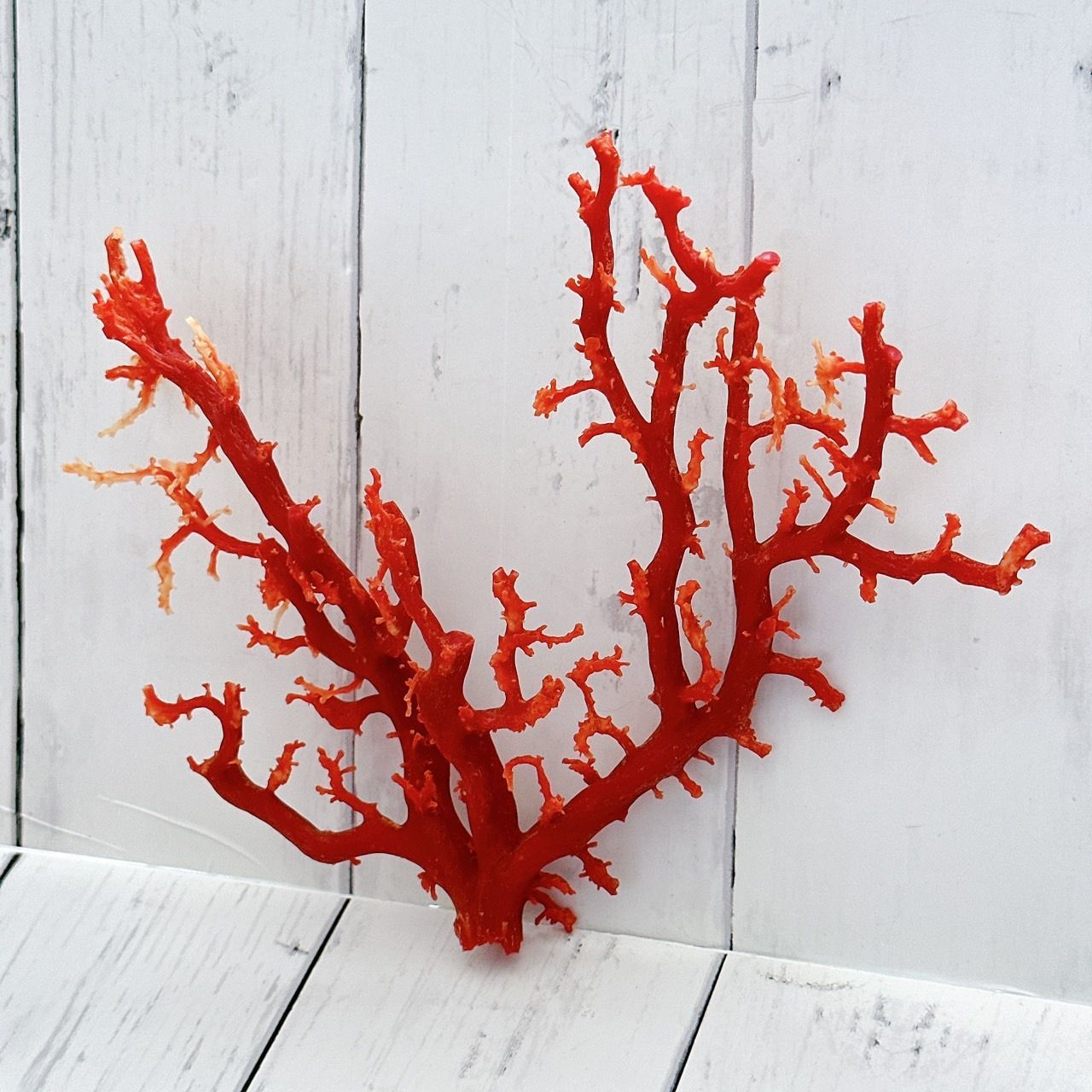 蛙 彫刻 置物 赤い山サンゴ珊瑚 蛙 彫刻 置物 赤い山サンゴ珊瑚