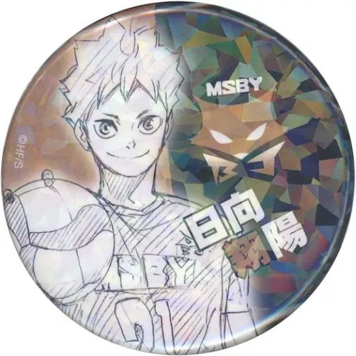 最終値下げ】ハイキュー!! オールスター缶バッジ 日向翔陽 MSBY 30個