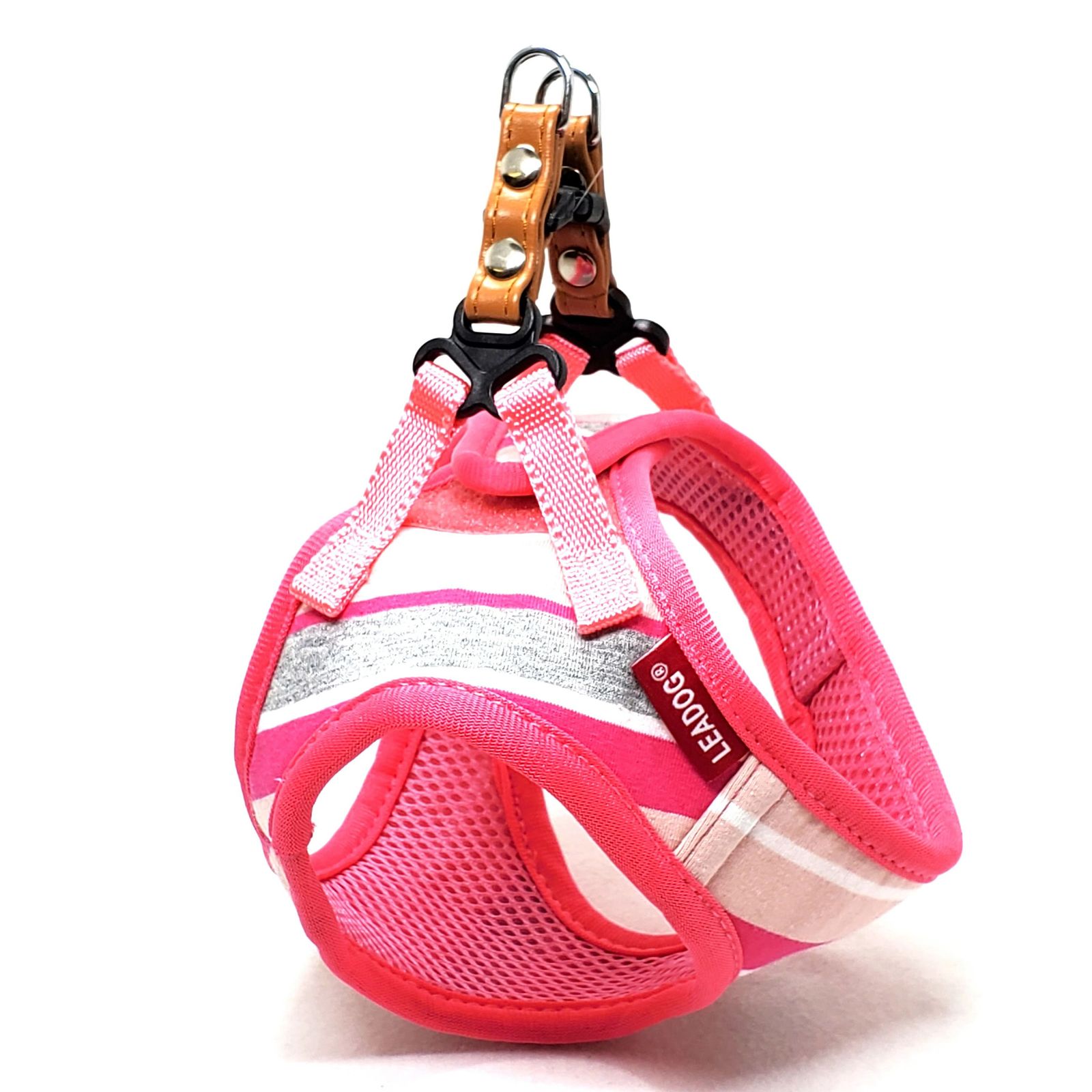 マンモス牙彫 根付 帯留 貝殻に蟻