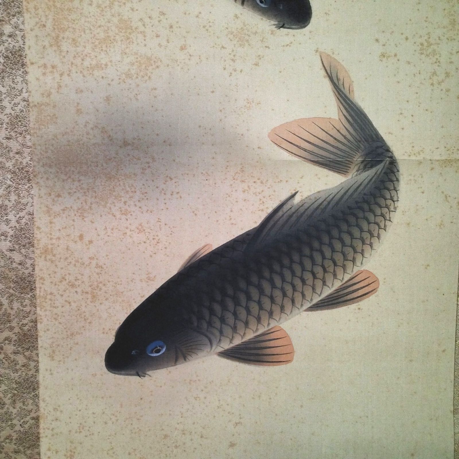 村山松月◇鯉図◇掛軸 書画 日本画 彩色 肉筆 絹本 縁起物