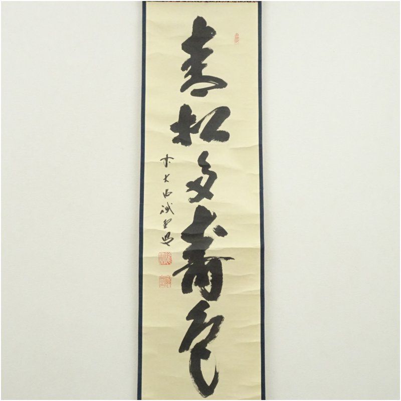 前大徳 藤井誡堂筆 「青松多寿色」一行書 肉筆紙本掛軸（共箱） 掛け軸