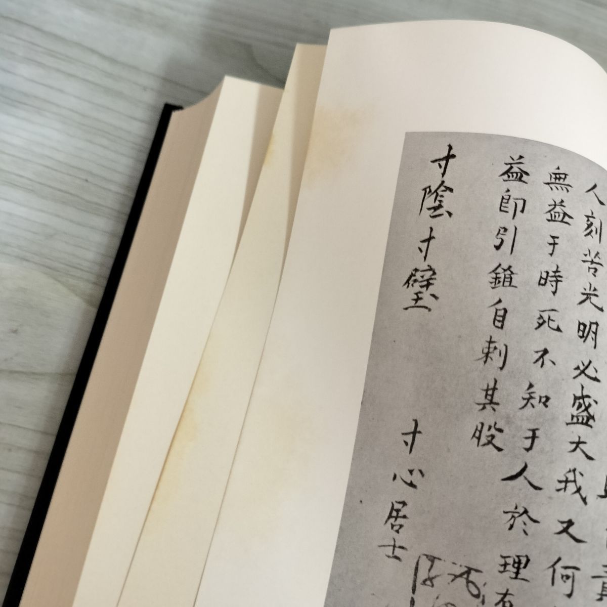 全19巻 西田幾多郎全集 月報揃 良い 函入 160001 全19巻 西田幾多郎