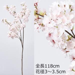 新品・3営業日で発送】ASCA 公式 アスカ 桜×460 (A-34404001P) 楽天