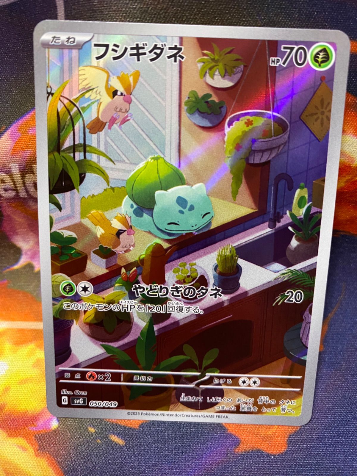 psa10 フシギダネ ヒトカゲ ゼニガメ AR 3連番 PSA10】3連番