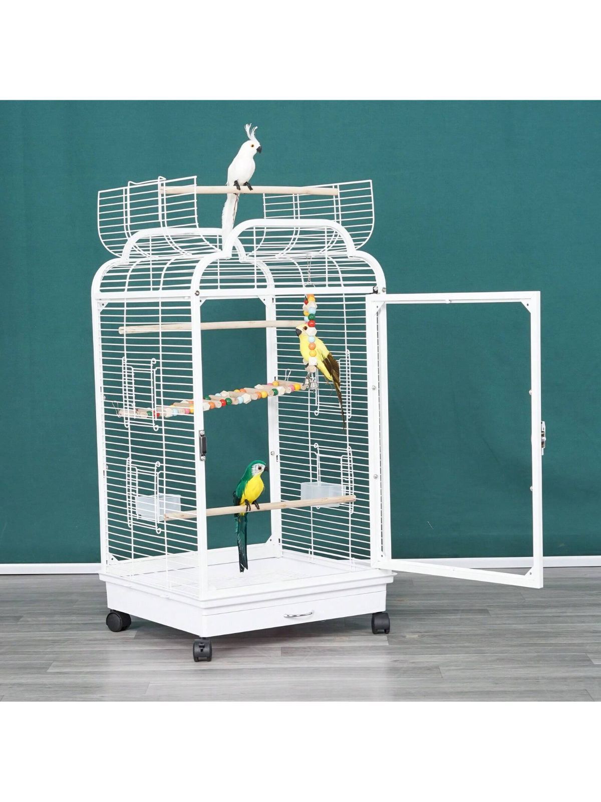 DESIGN MINORITY ケージ アクリル 68cm フクロモモンガ 楽天市場