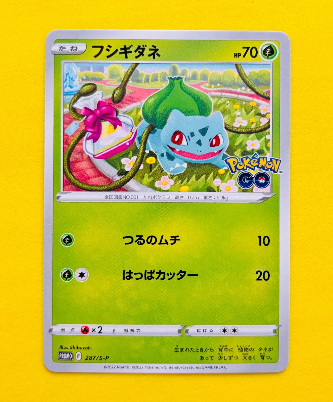 御三家psa10 連番 9連番 PSA10 8 ポケモンカードclassic クラシック 御三家