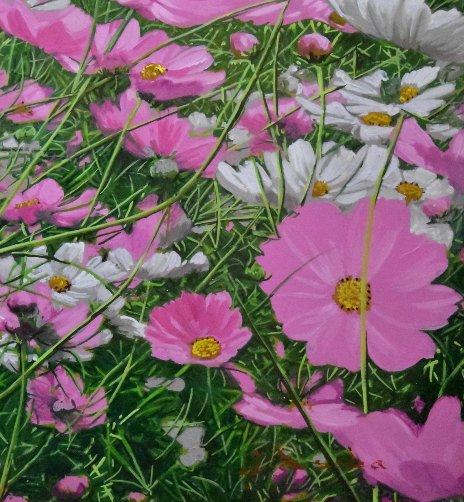 井阪 仁 コスモス 額 61cm✖︎69cm 井阪仁コスモス額 61cm✖︎69cm