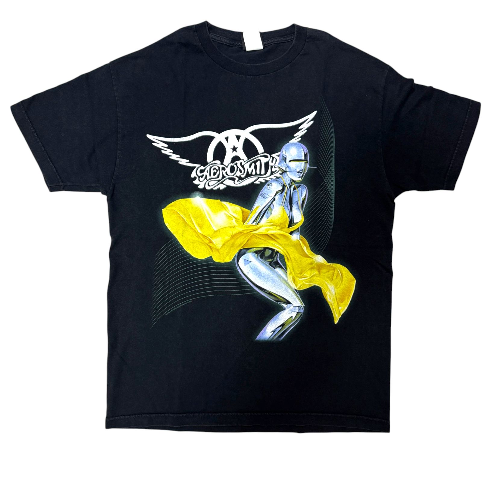 AIR JAM 2000 Tシャツ エアジャム Hi-STANDARD 00s AIRJAM 2000 T