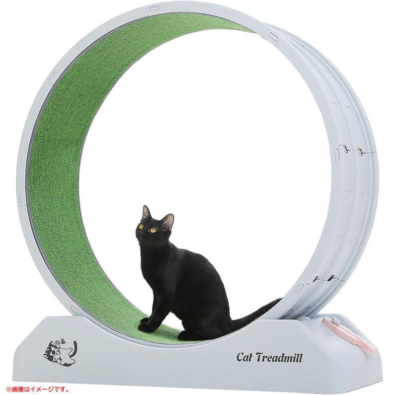 Amazon.co.jp: Naviconvex キャットホイール 猫 XL 直径113センチ