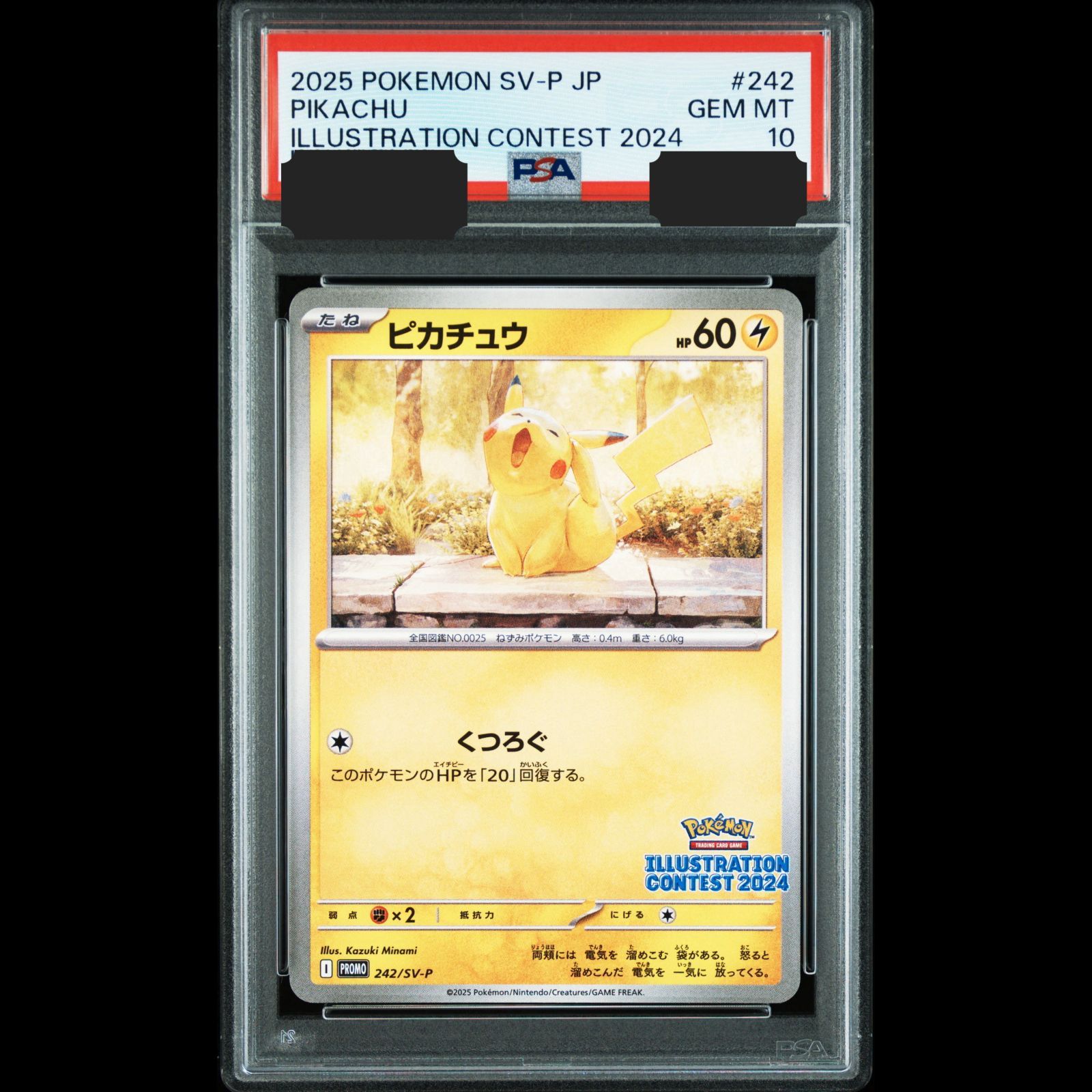 PSA10】 ピカチュウ 242/SV-P PSA 10 Pokemon Card Pikachu