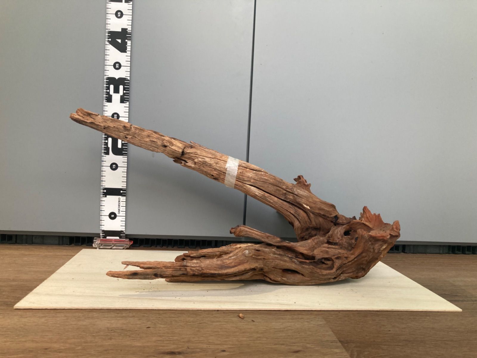 選び抜かれた存在感の特別な流木】ディープホーンウッド/Deep Hornwood