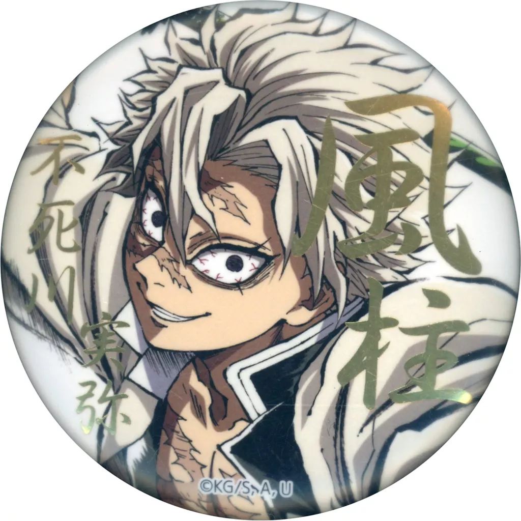 鬼滅の刃 webshopくじ 不死川実弥 E賞 箔押し缶バッジA