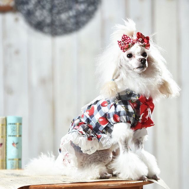 楽天市場】きゃんナナ 犬服 春 夏 ワンピース CANNANA いちご