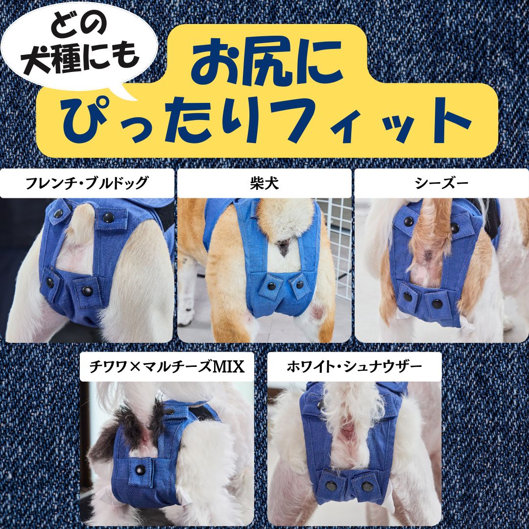 ③⑤ママうんころキャッチ！XSサイズ 青 メッシュ素材 うんころ