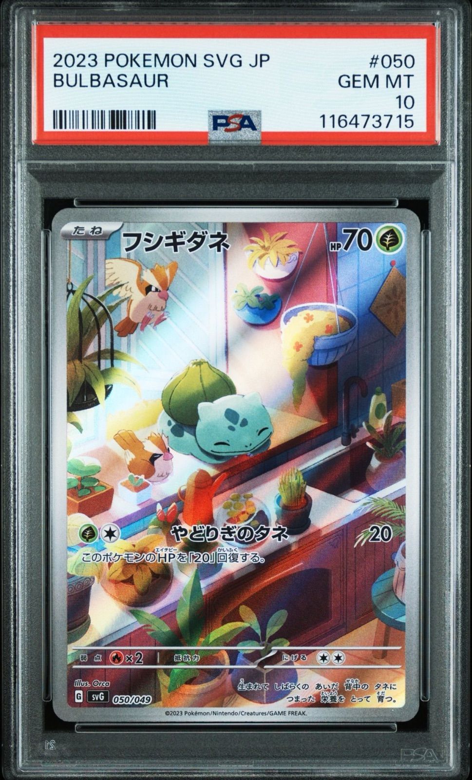 PSA10】ヒトカゲ ゼニガメ フシギダネ 連番 御三家 151 PSA10 連番