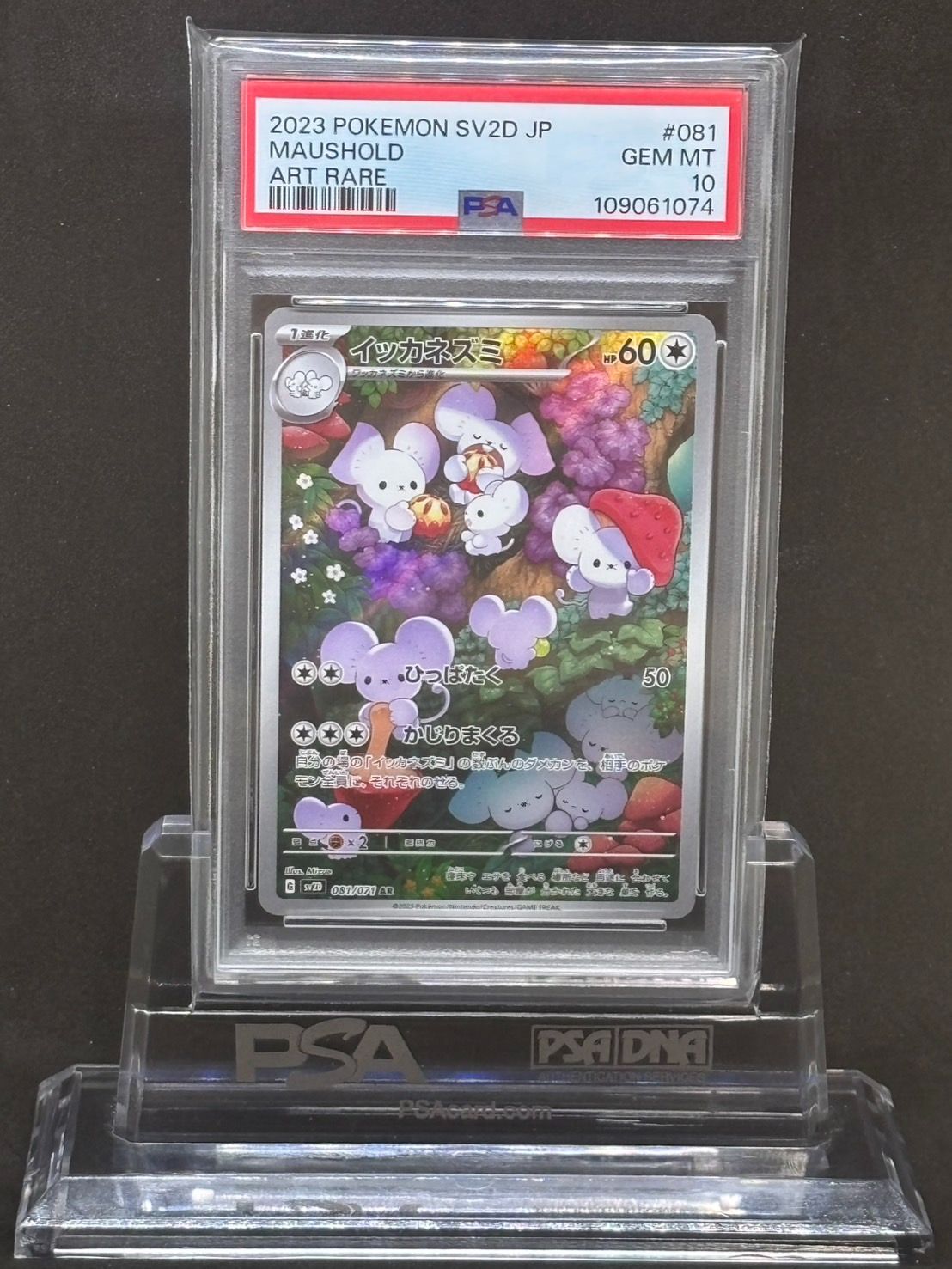 ☆PSA10☆【イッカネズミ/AR/SV2D】MAUSHOLD 081/071 Maushold AR 081
