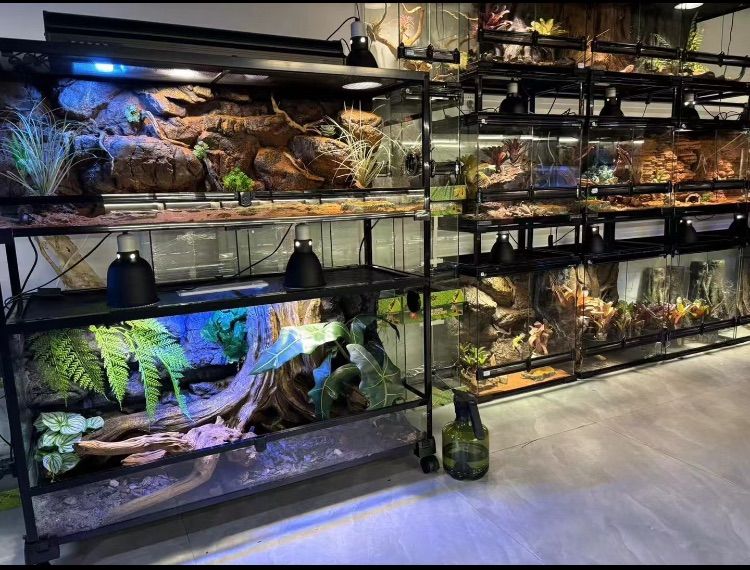 90x45x45cm爬虫類両生類飼育ケージ、組み立て式ガラス飼育ケージ卸販売