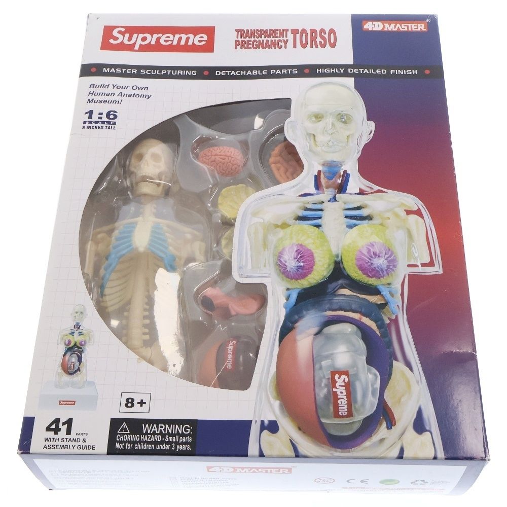 新品未使用 Supreme Female Anatomy Model 人体模型 【公式通販】