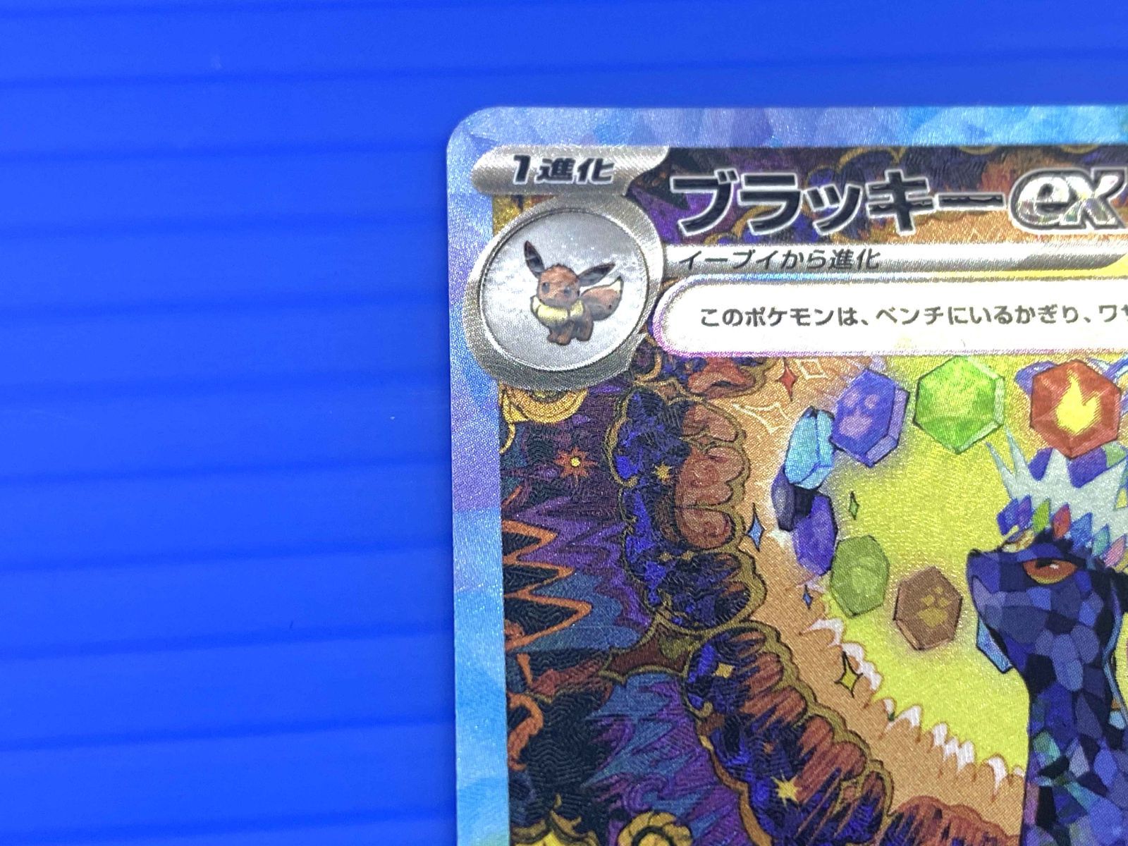 ブラッキーex SAR テラスタルフェスex 217/187白かけなし A状態