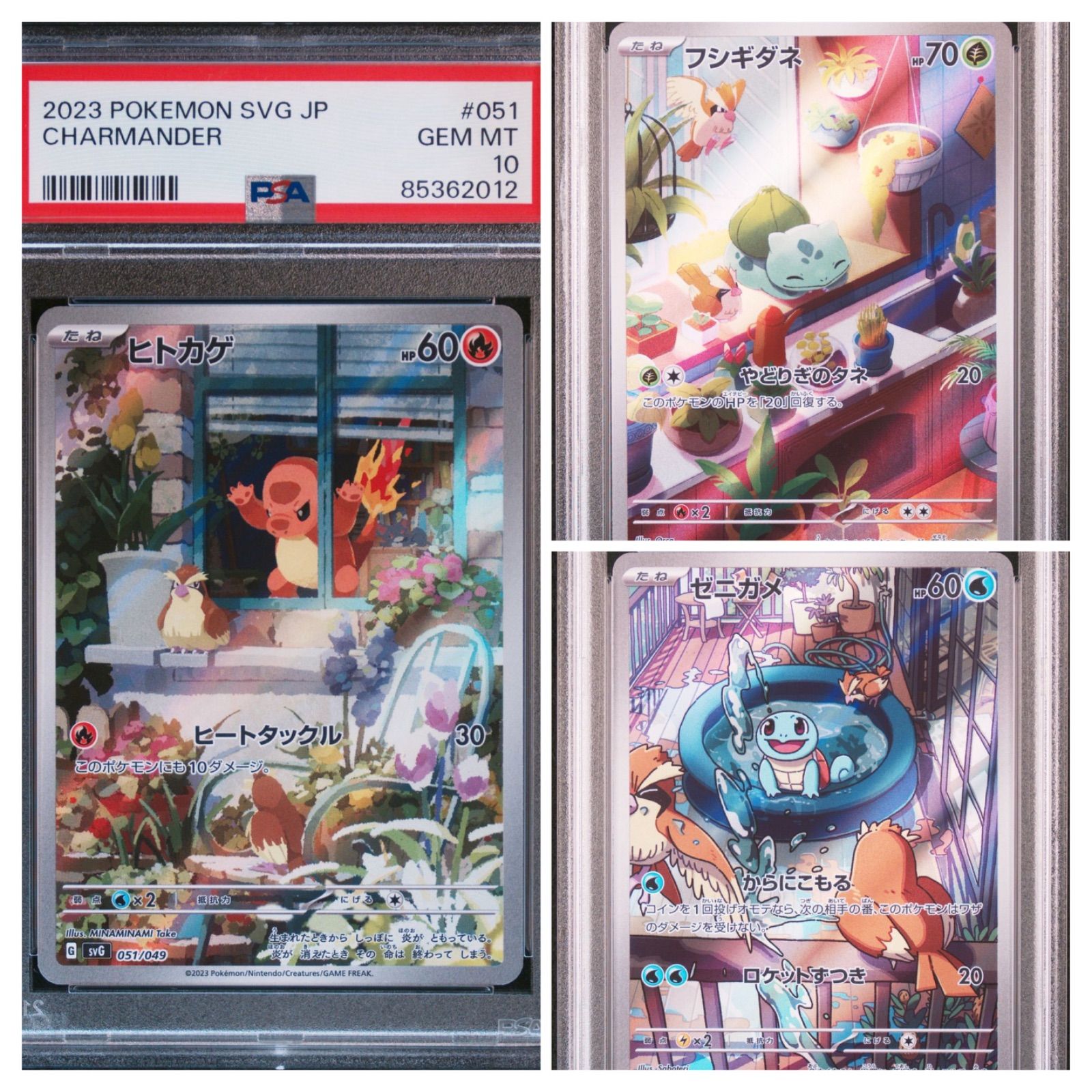 PSA10 連番フシギダネヒトカゲゼニガメAR スペシャルデッキセット