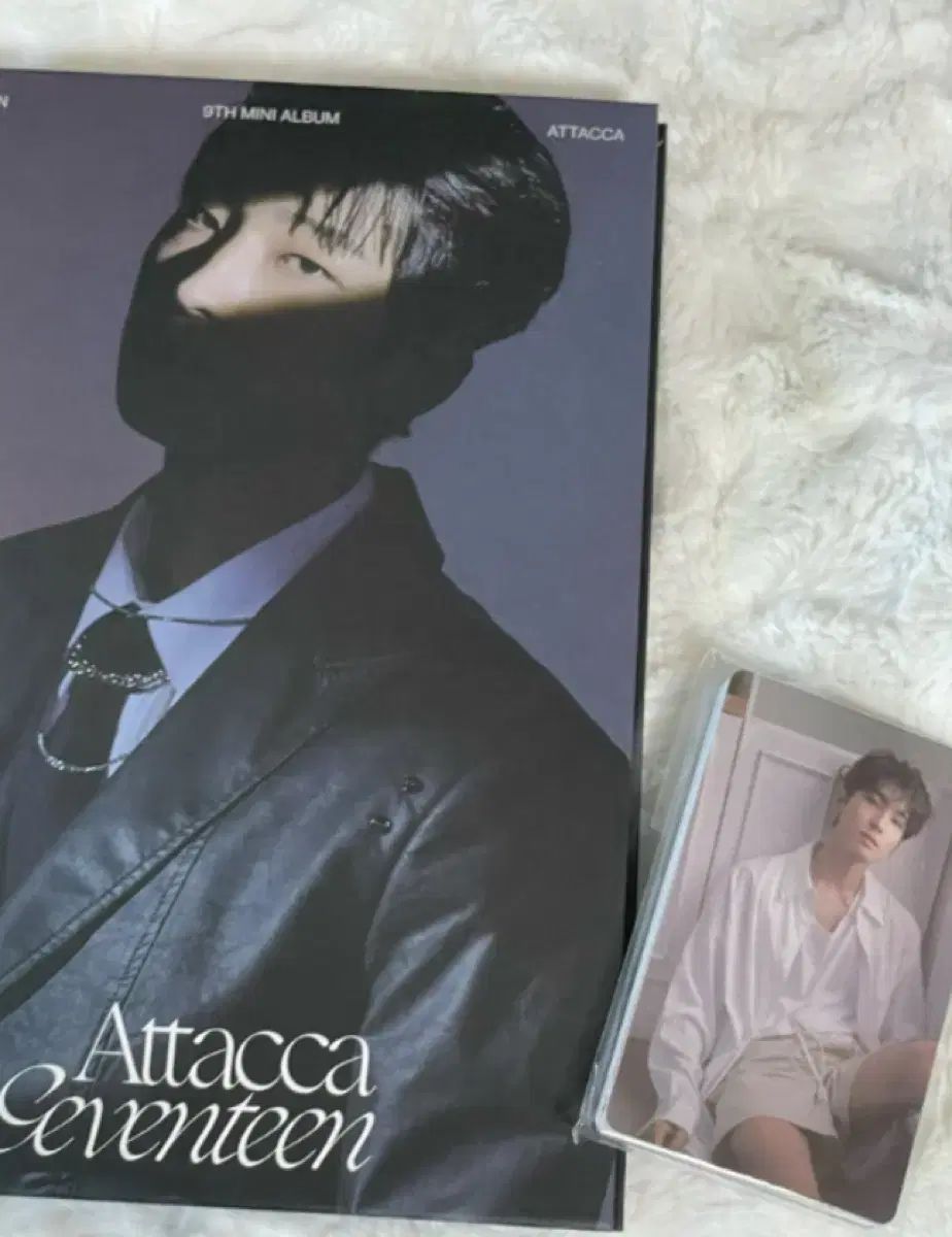 seventeen ウォヌ attacca サイン