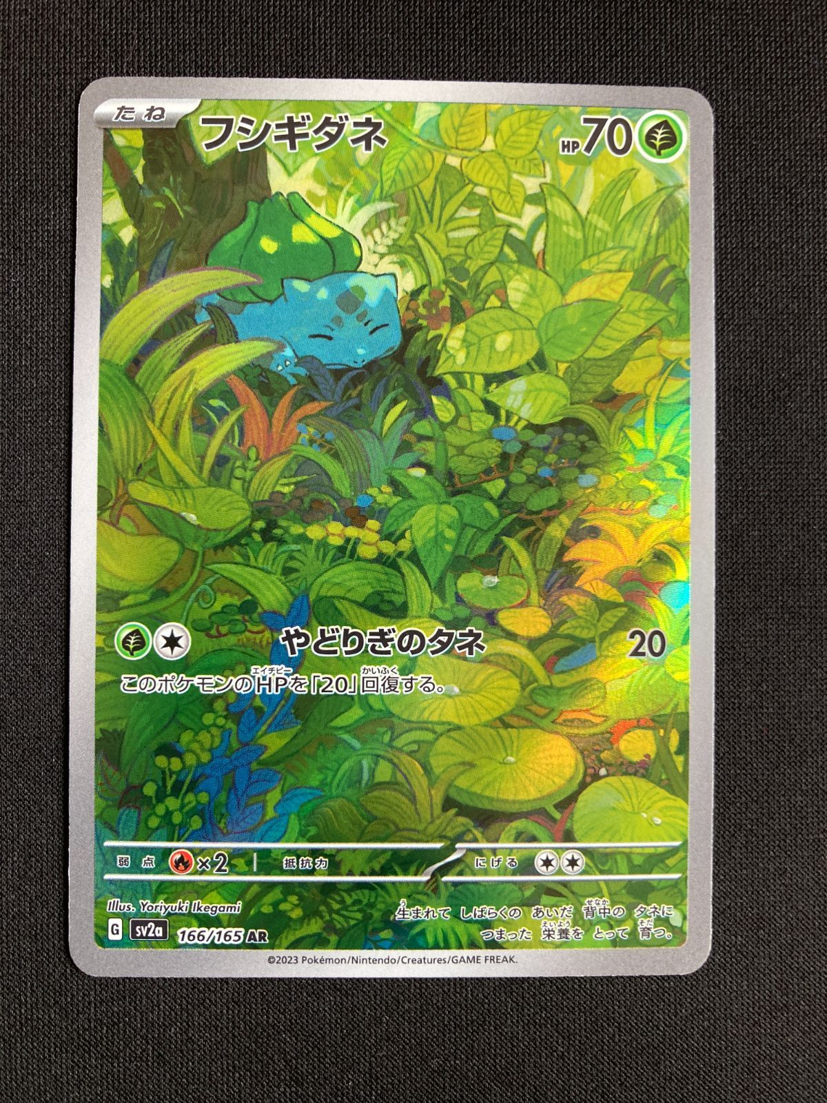 PSA10 フシギダネAR ゾロ目 999 PSA10 フシギダネ フシギソウ AR