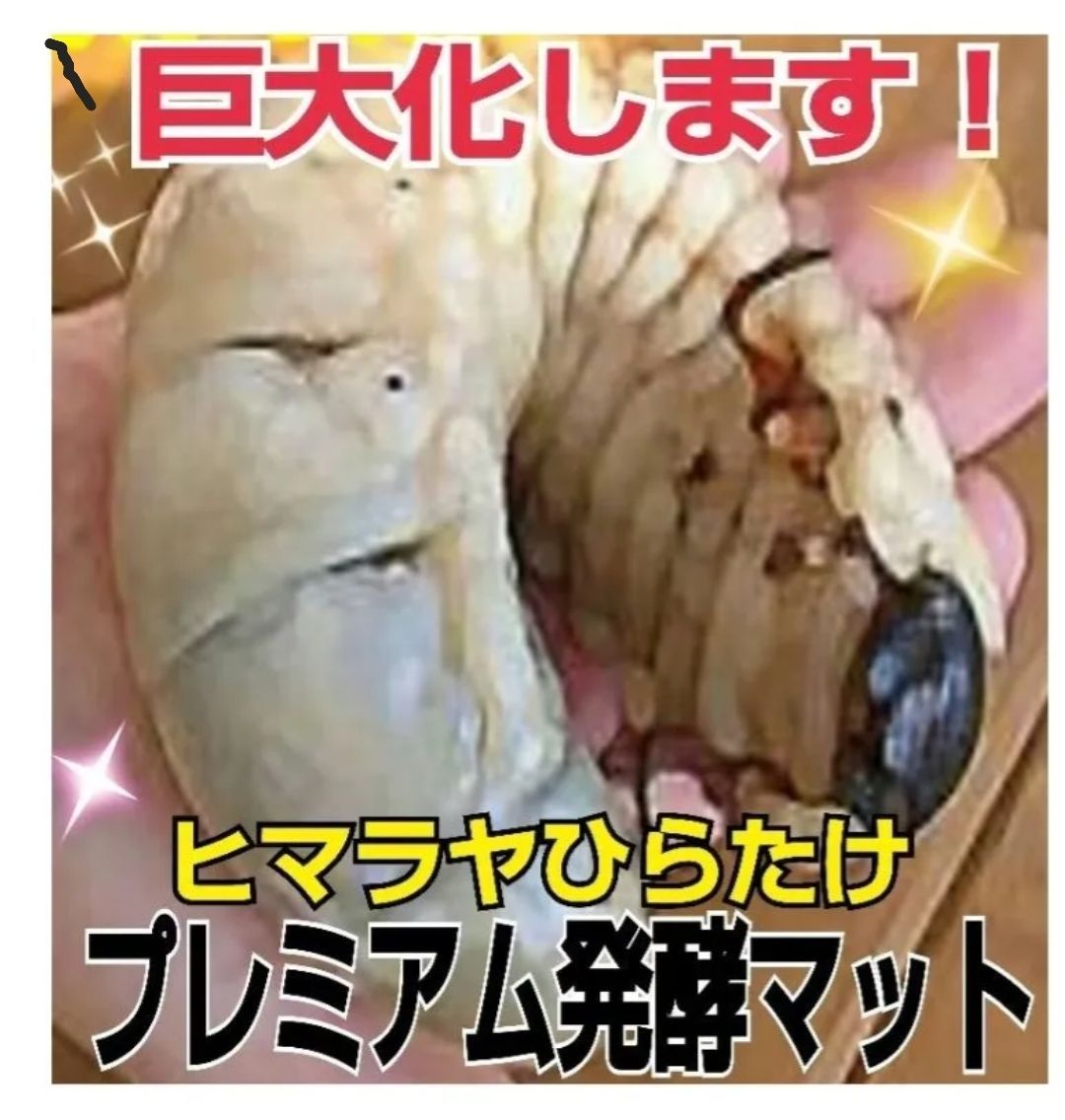 極上！プレミアム3次発酵カブトムシマット【100リットル】特殊アミノ酸